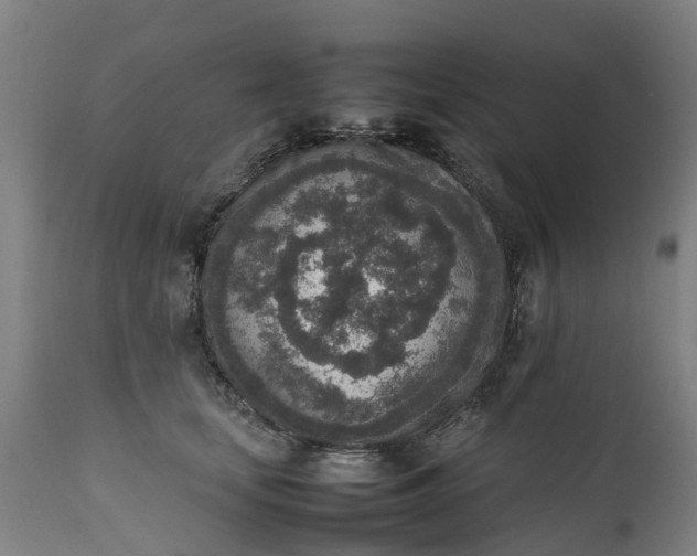 X0000111650659200907311318