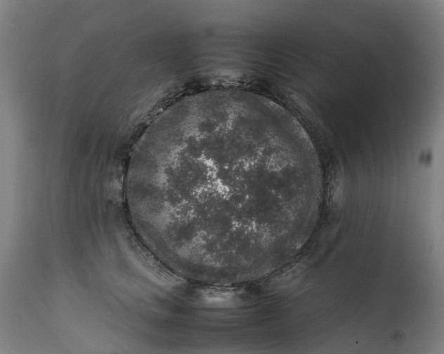 X0000111650661200907311318