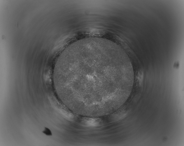 X0000111650663200907311318