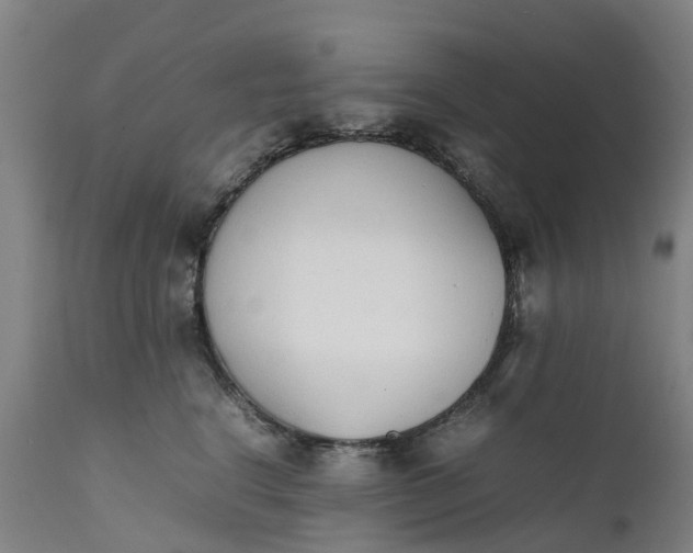 X0000111650664200907311318