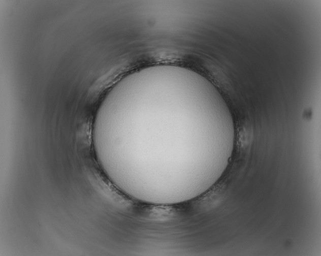 X0000111650666200907311318