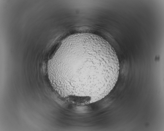 X0000111650669200907311318