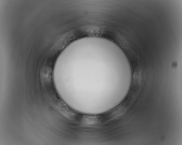 X0000111650671200907311318