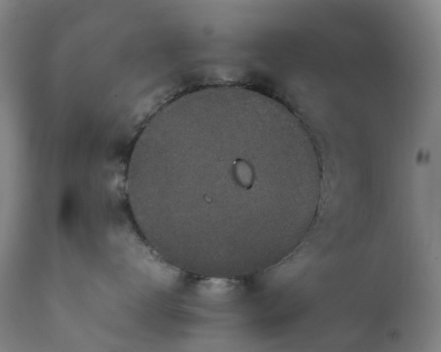 X0000111650672200907311318