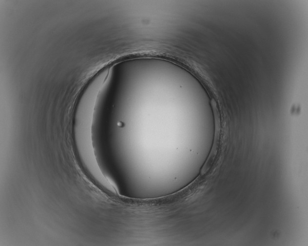 X0000111650673200907311317