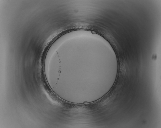 X0000111650674200907311317