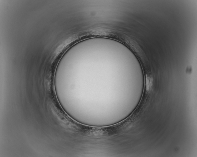 X0000111650675200907311317