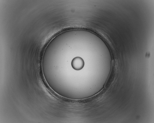 X0000111650677200907311317