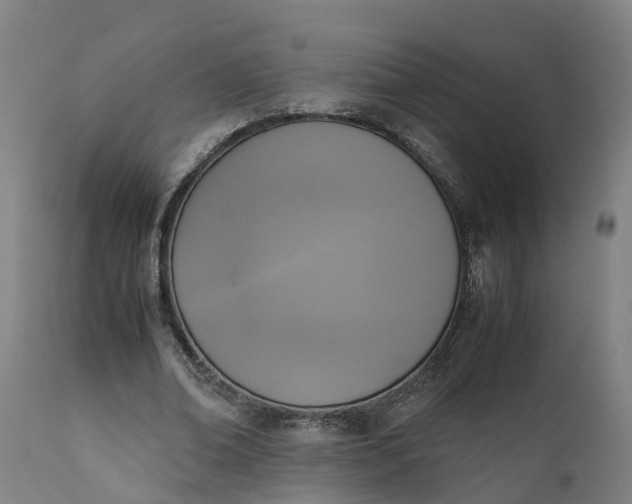 X0000111650678200907311317