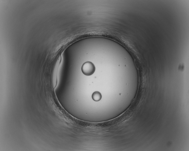 X0000111650681200907311317