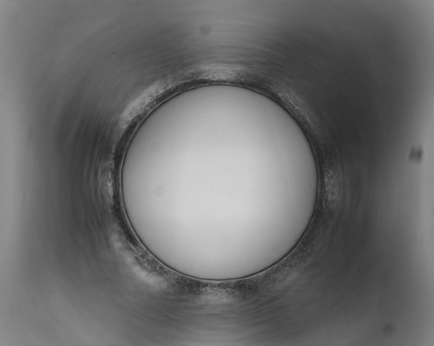 X0000111650682200907311317