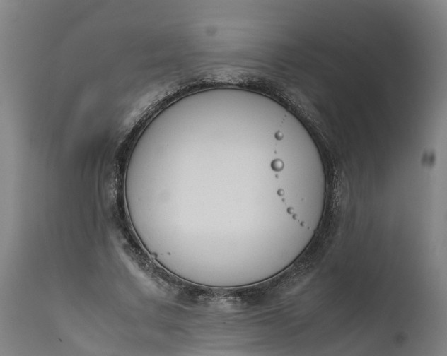 X0000111650683200907311317