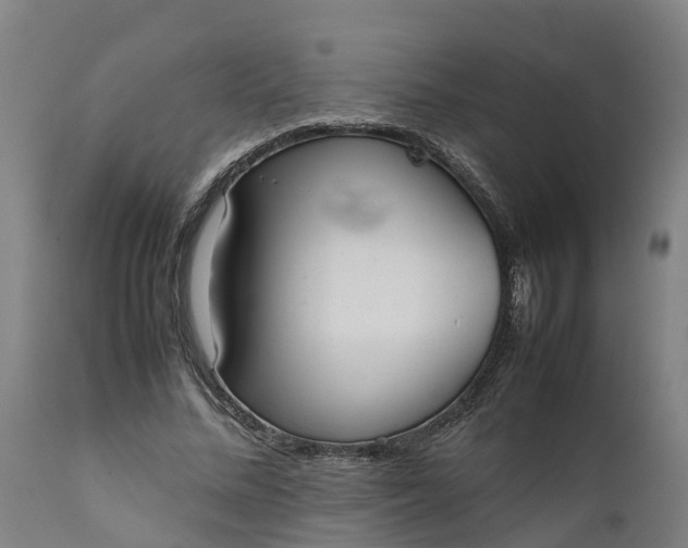 X0000111650684200907311317