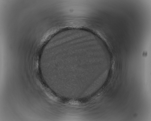 X0000111650685200907311317