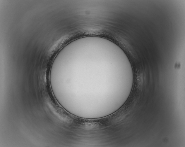 X0000111650686200907311317