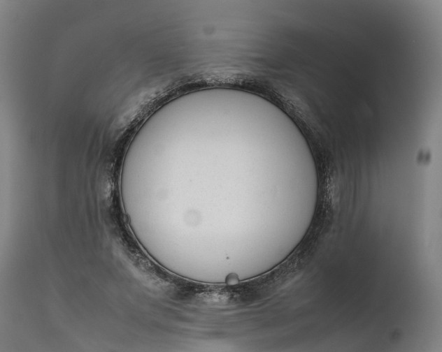 X0000111650687200907311317