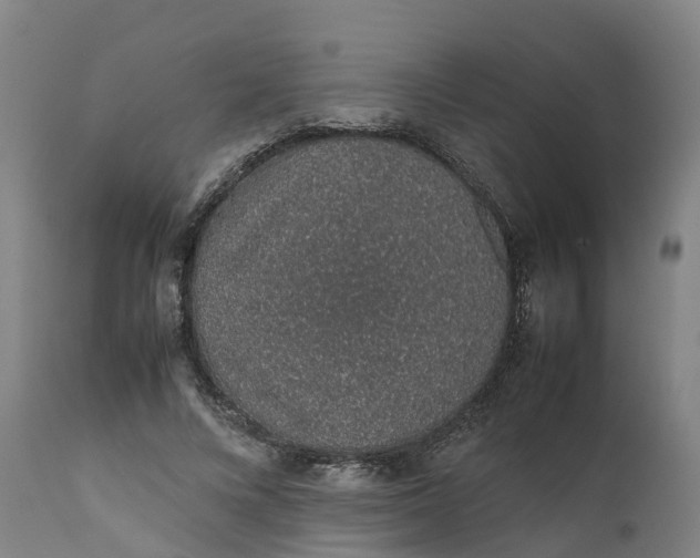 X0000111650688200907311317
