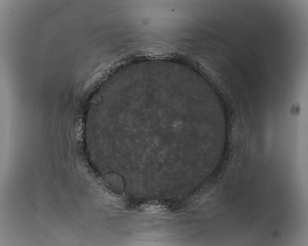 X0000111650689200907311317