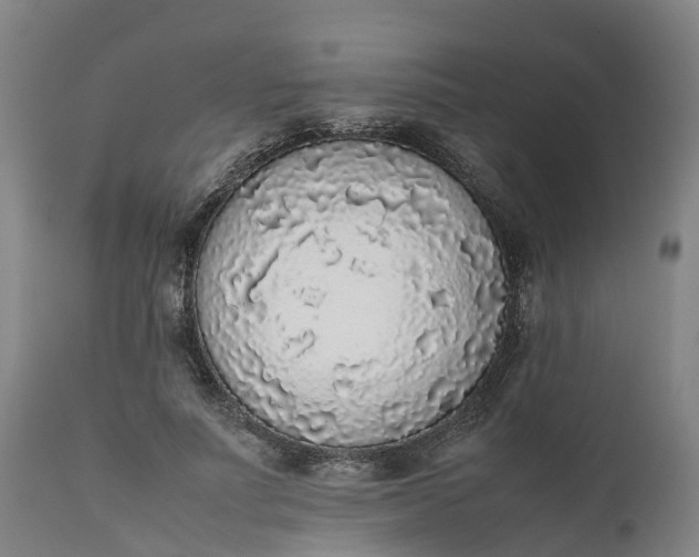 X0000111650691200907311317