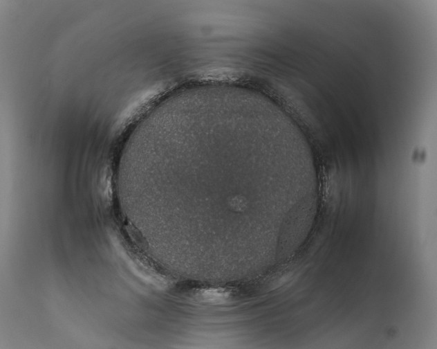 X0000111650692200907311317