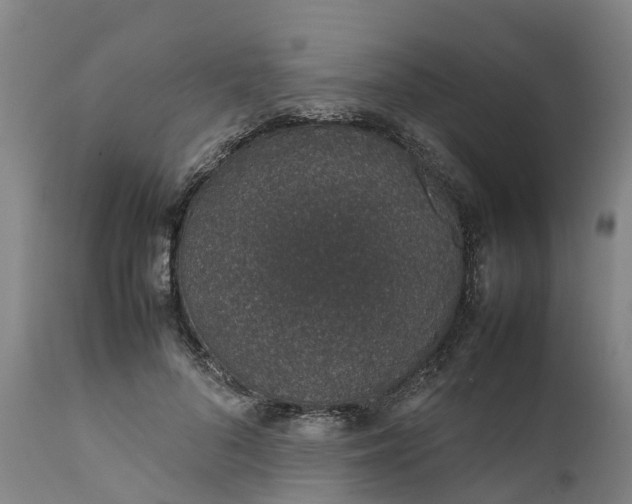 X0000111650696200907311317