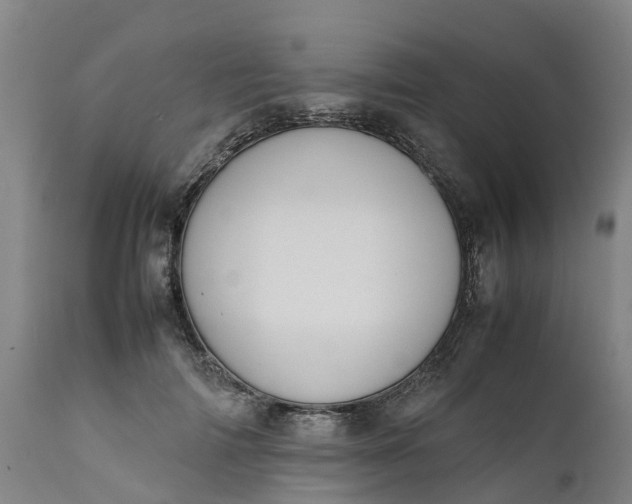 X0000111650698200907311317