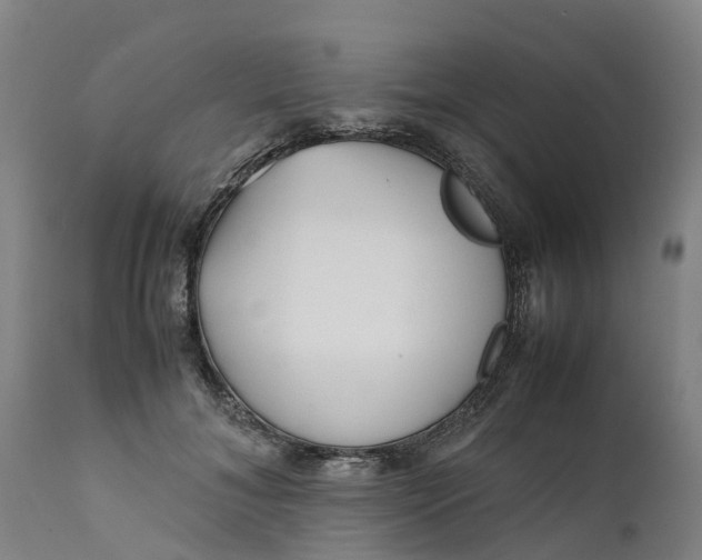 X0000111650700200907311317