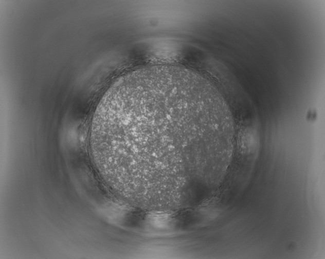 X0000111650701200907311317