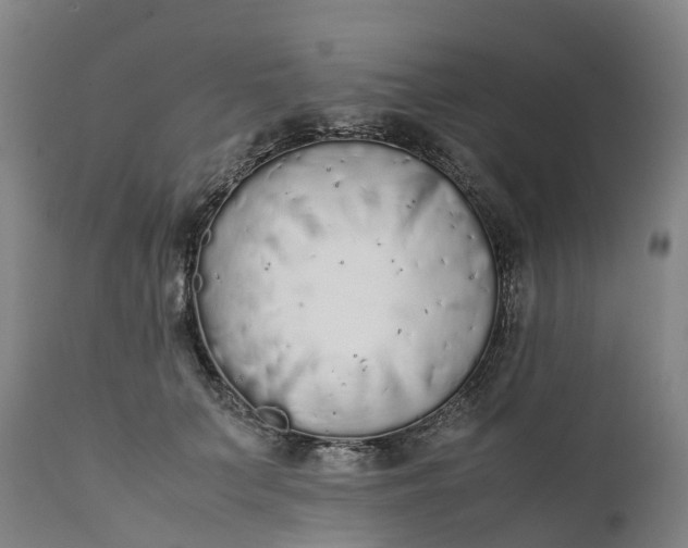 X0000111650703200907311317