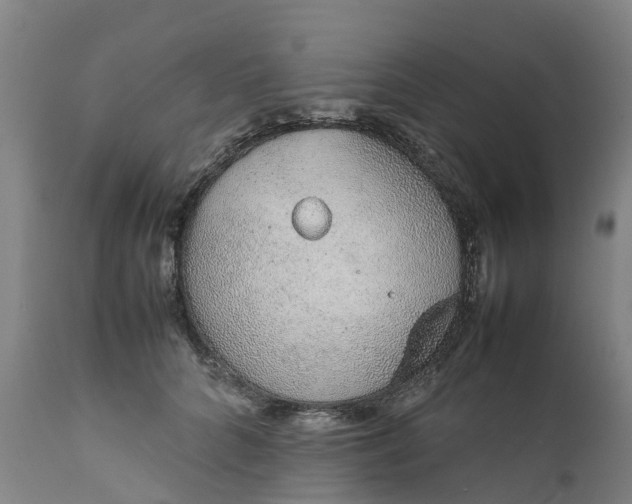 X0000111650704200907311317