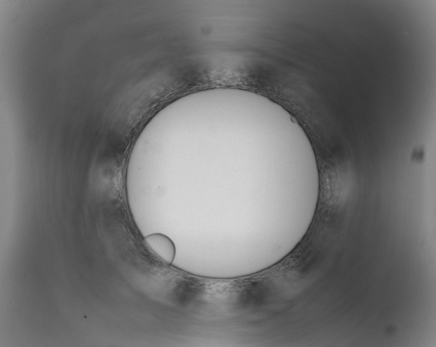 X0000111650705200907311317