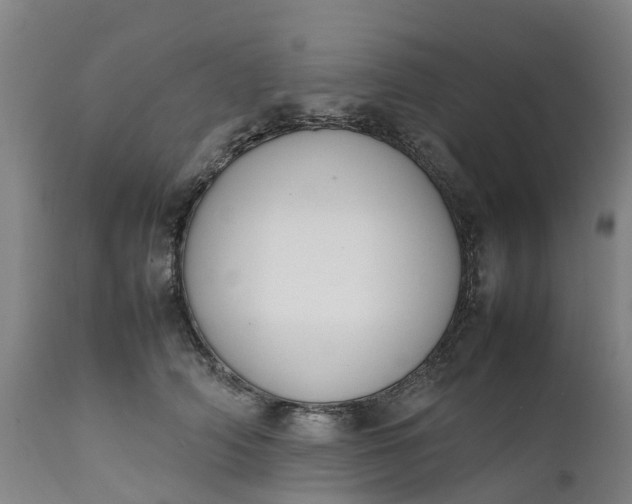 X0000111650706200907311317