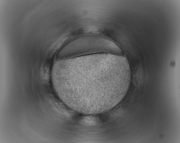 X0000111650708200907311317