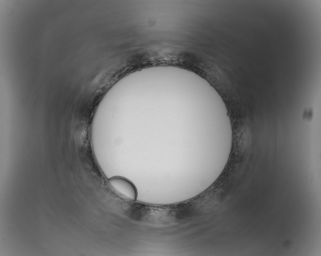 X0000111650709200907311317