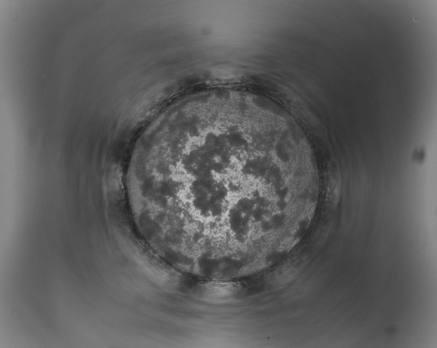 X0000111650711200907311317
