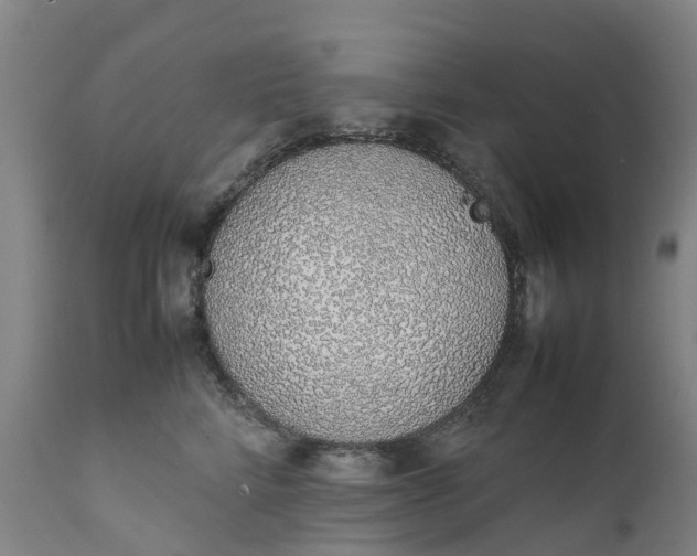 X0000111650712200907311317