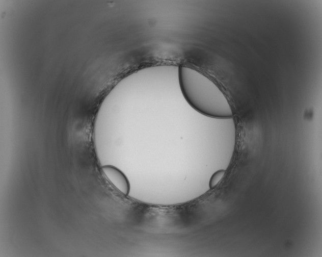 X0000111650713200907311317