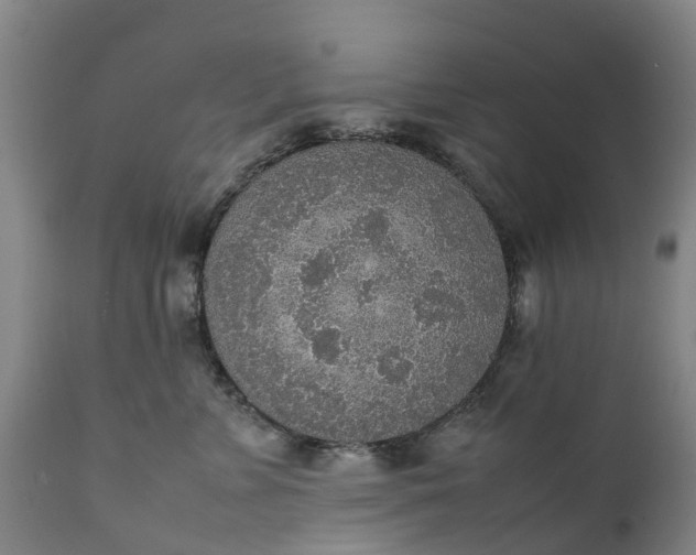 X0000111650715200907311316