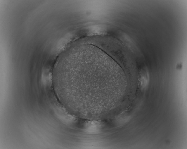 X0000111650716200907311316