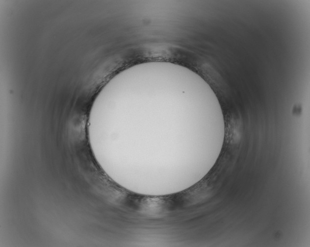 X0000111650717200907311316