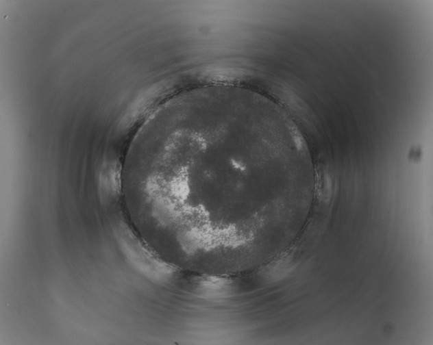 X0000111650718200907311316