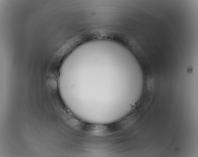 X0000111650719200907311316