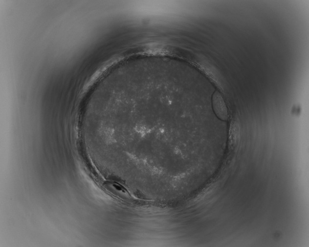 X0000111650722200907311316