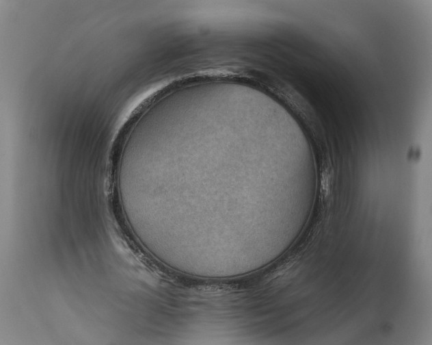 X0000111650724200907311316