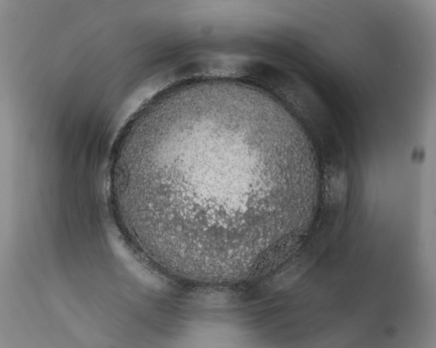 X0000111650726200907311316