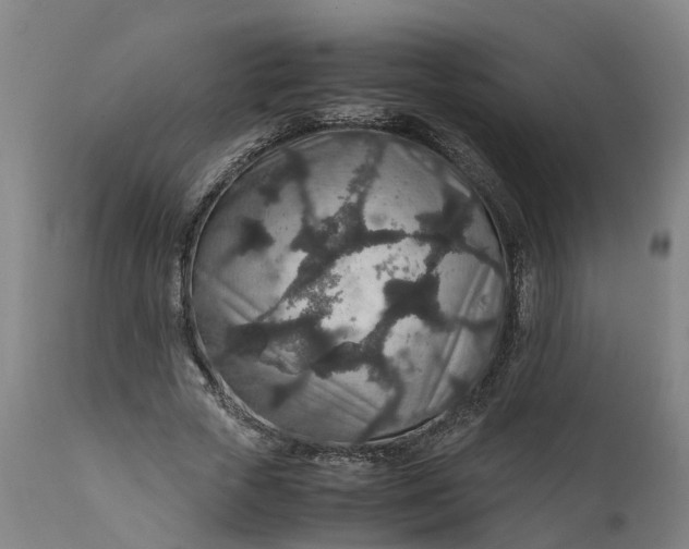 X0000111650729200907311316