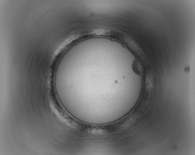 X0000111650730200907311316