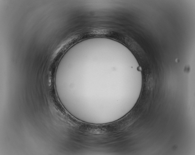 X0000111650731200907311316