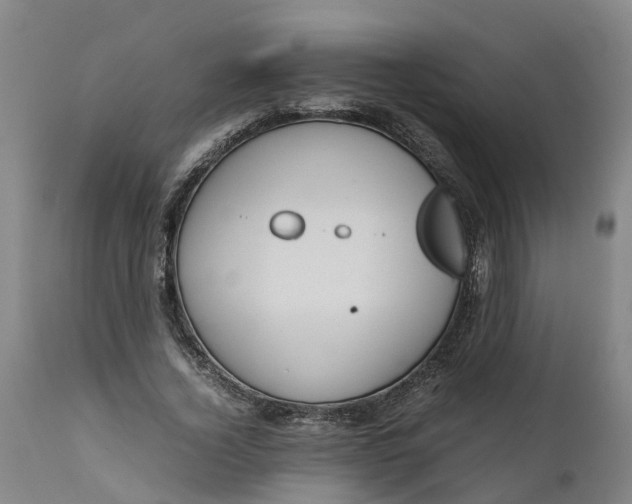 X0000111650732200907311316