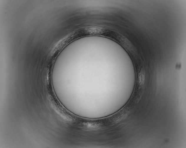 X0000111650733200907311316